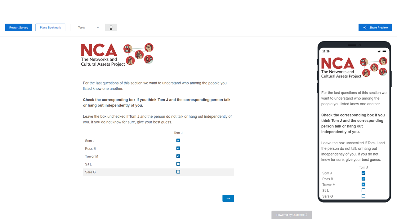 Screenshot 7: First density question
